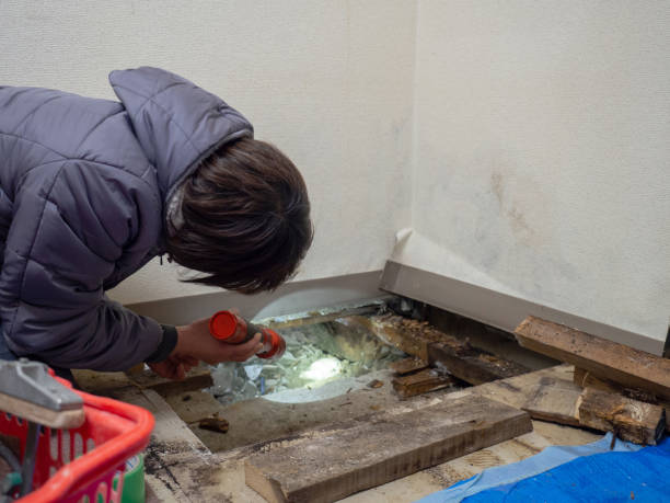 Asbestos and Lead Testing During Mold Inspection in Comstock Northwest, MI
