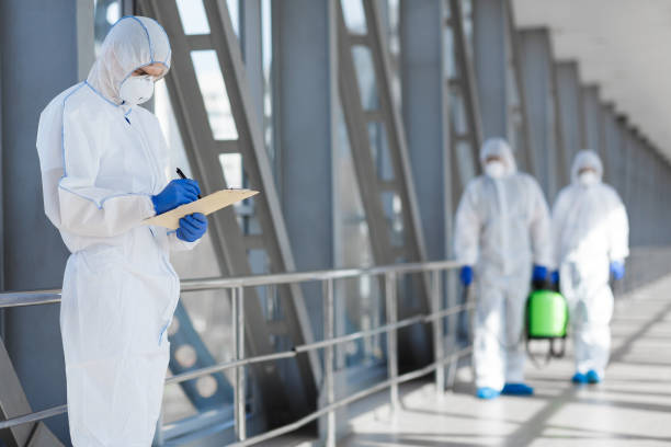 Best Basement Mold Removal  in Comstock Northwest, MI