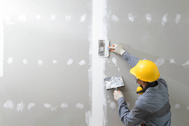 Best Mold Damage Restoration  in Comstock Northwest, MI