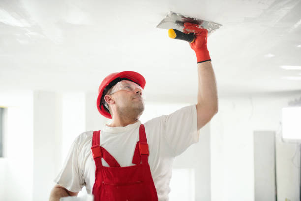 Best HVAC Mold Inspection and Cleaning  in Comstock Northwest, MI