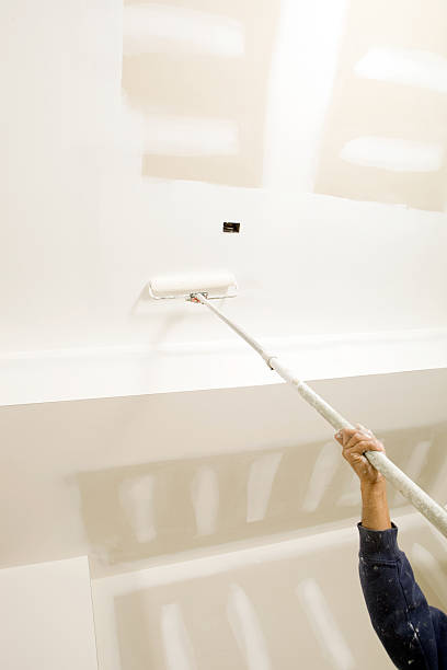 Trusted Comstock Northwest, MI Mold Removal Experts