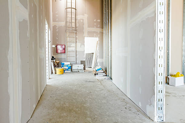 Best Mold-Related Health Consultation  in Comstock Northwest, MI